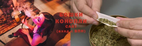 ГАЛЛЮЦИНОГЕННЫЕ ГРИБЫ Няндома