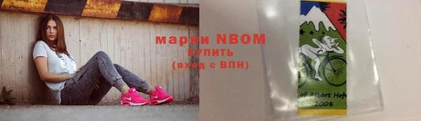 ГАЛЛЮЦИНОГЕННЫЕ ГРИБЫ Няндома