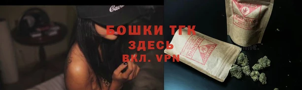 ГАЛЛЮЦИНОГЕННЫЕ ГРИБЫ Няндома