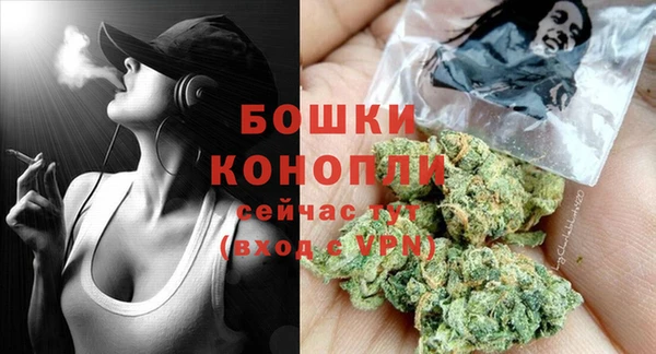 ГАЛЛЮЦИНОГЕННЫЕ ГРИБЫ Няндома