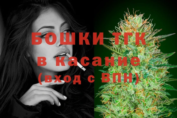 ГАЛЛЮЦИНОГЕННЫЕ ГРИБЫ Няндома